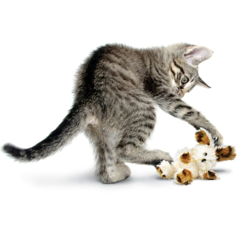 Kong softies fuzzy kattenspeelgoed - Afbeelding 2