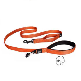 Ezydog soft trainer riem oranje