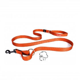Ezydog vario 4 riem oranje